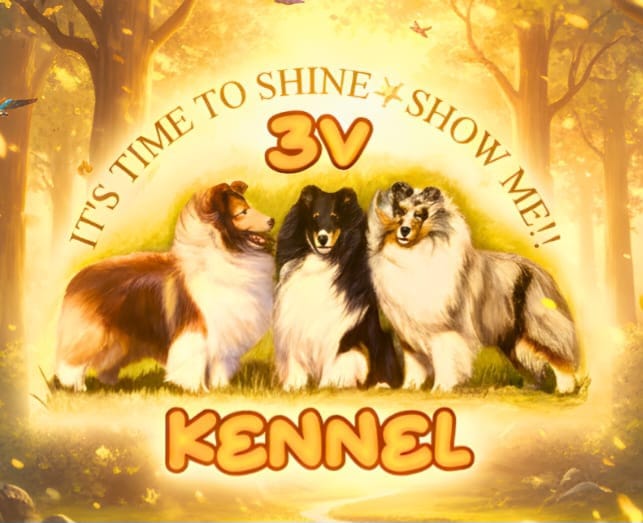 3V Kennel
