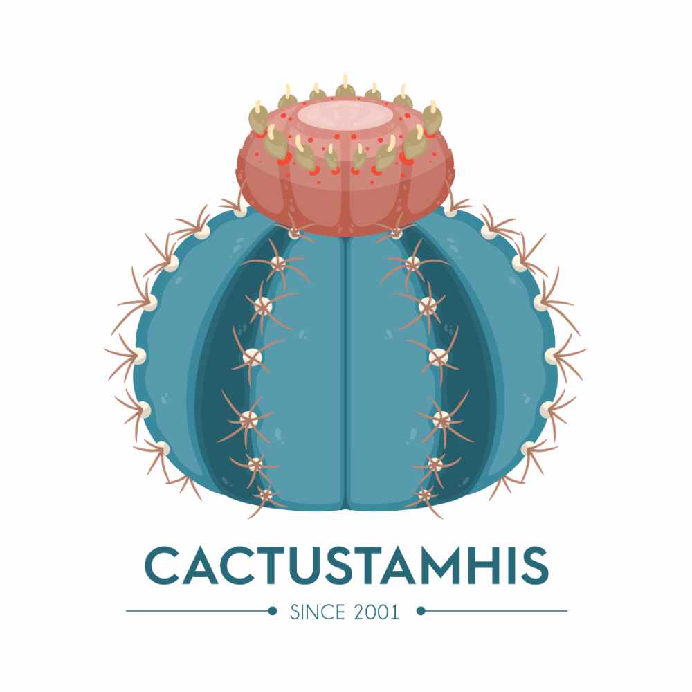 Cactustamhis