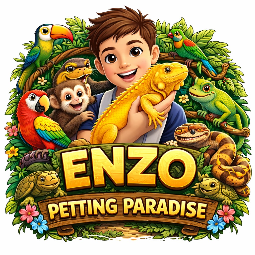 Enzo Petting Paradise