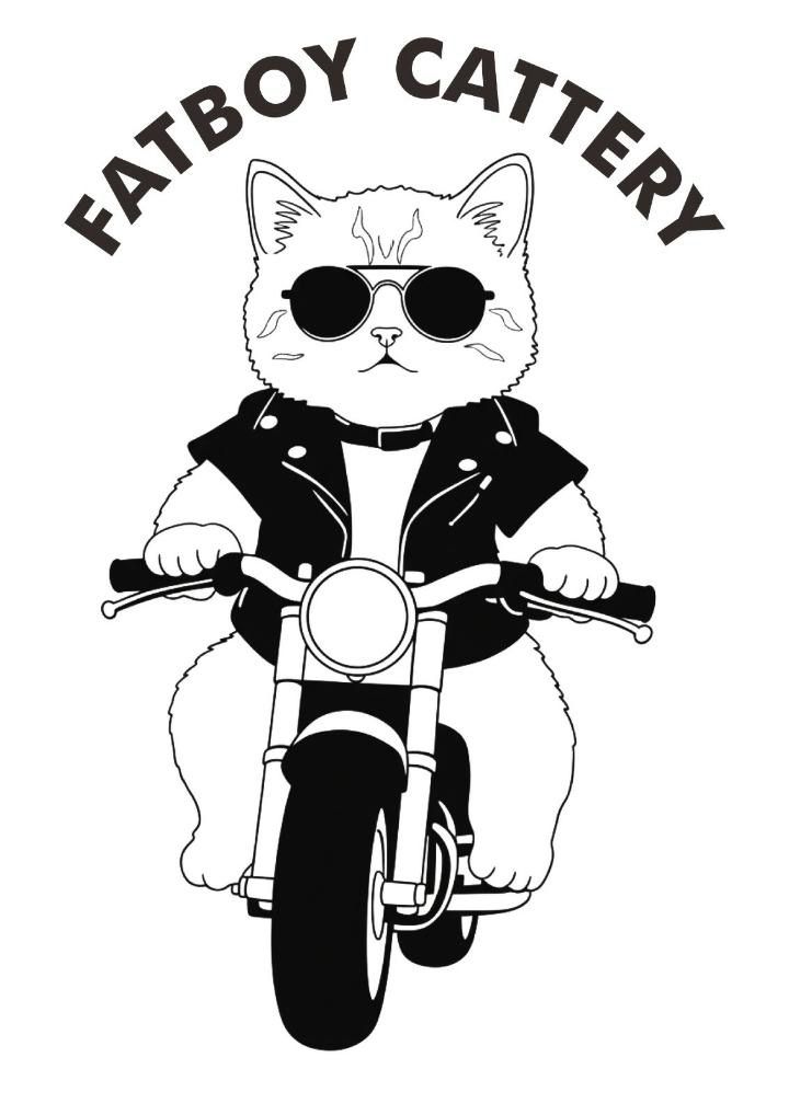 Fatboy Cattery