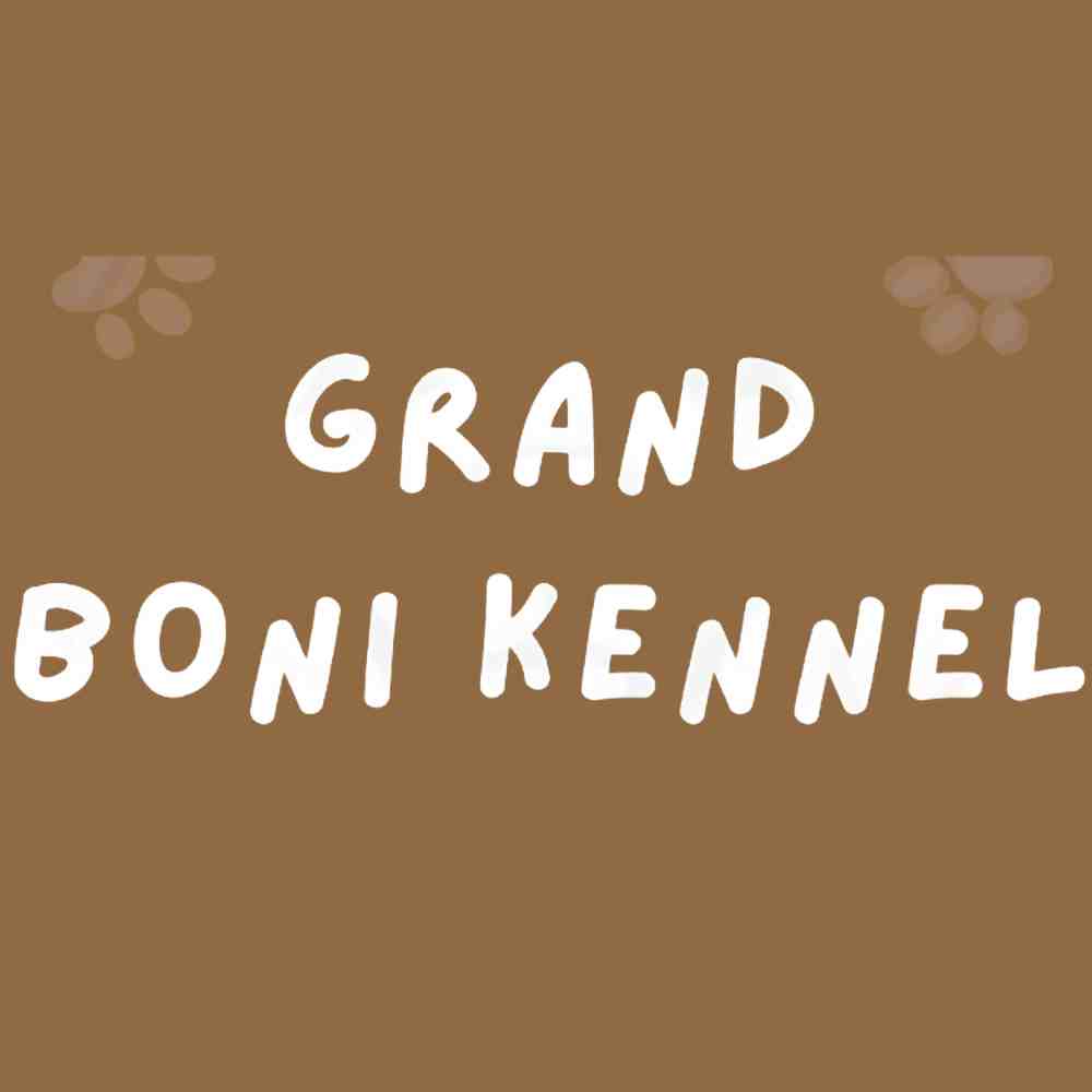 Grand Boni Kennel