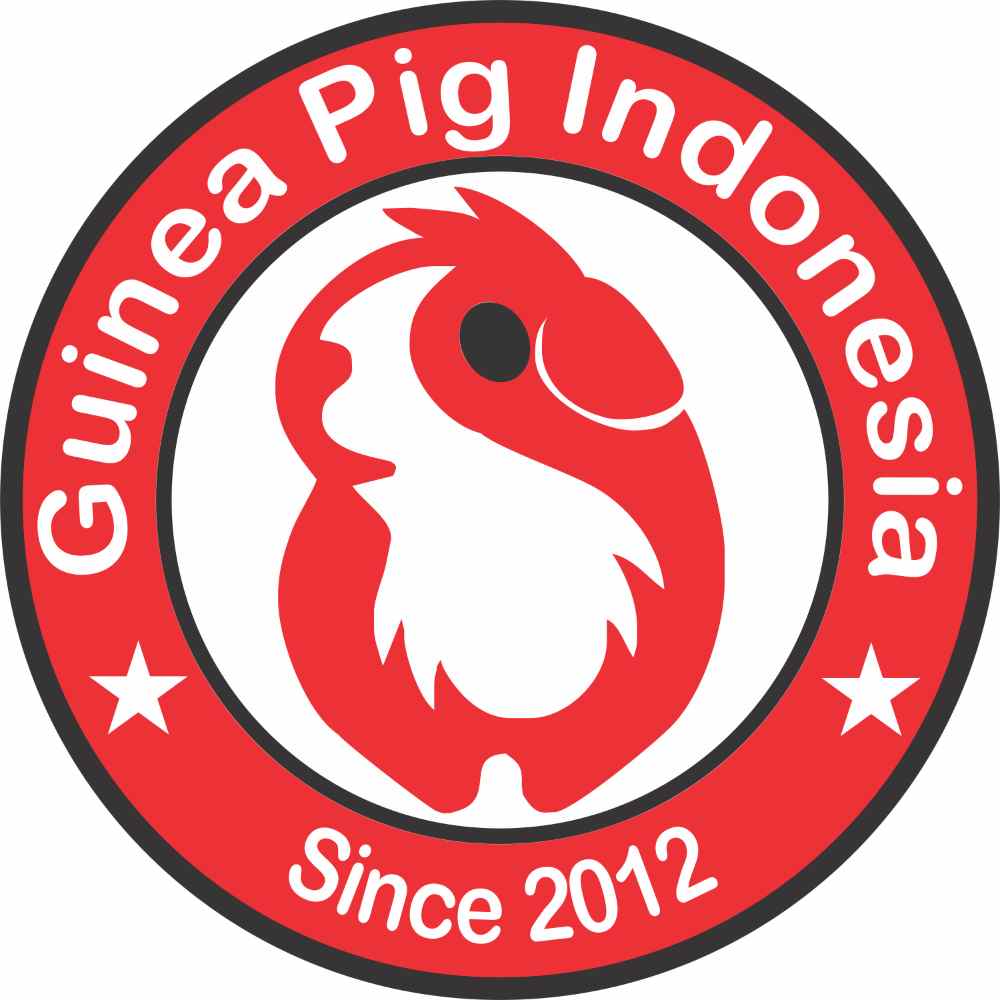 Guinea Pig Indonesia
