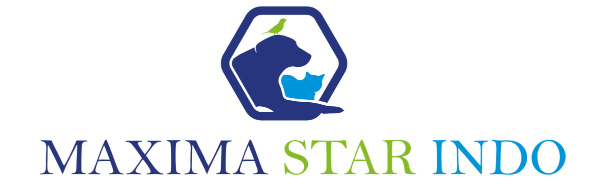 Logo maxima