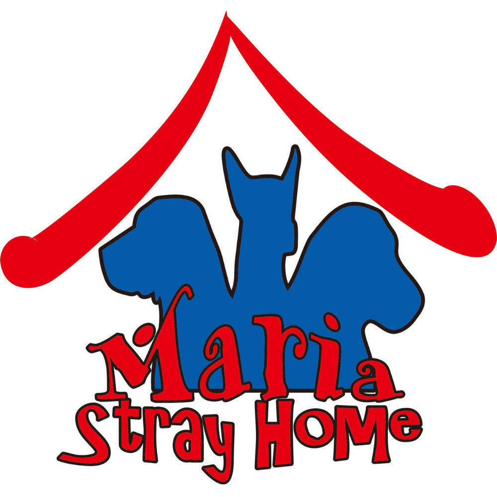 Maria Stray Home