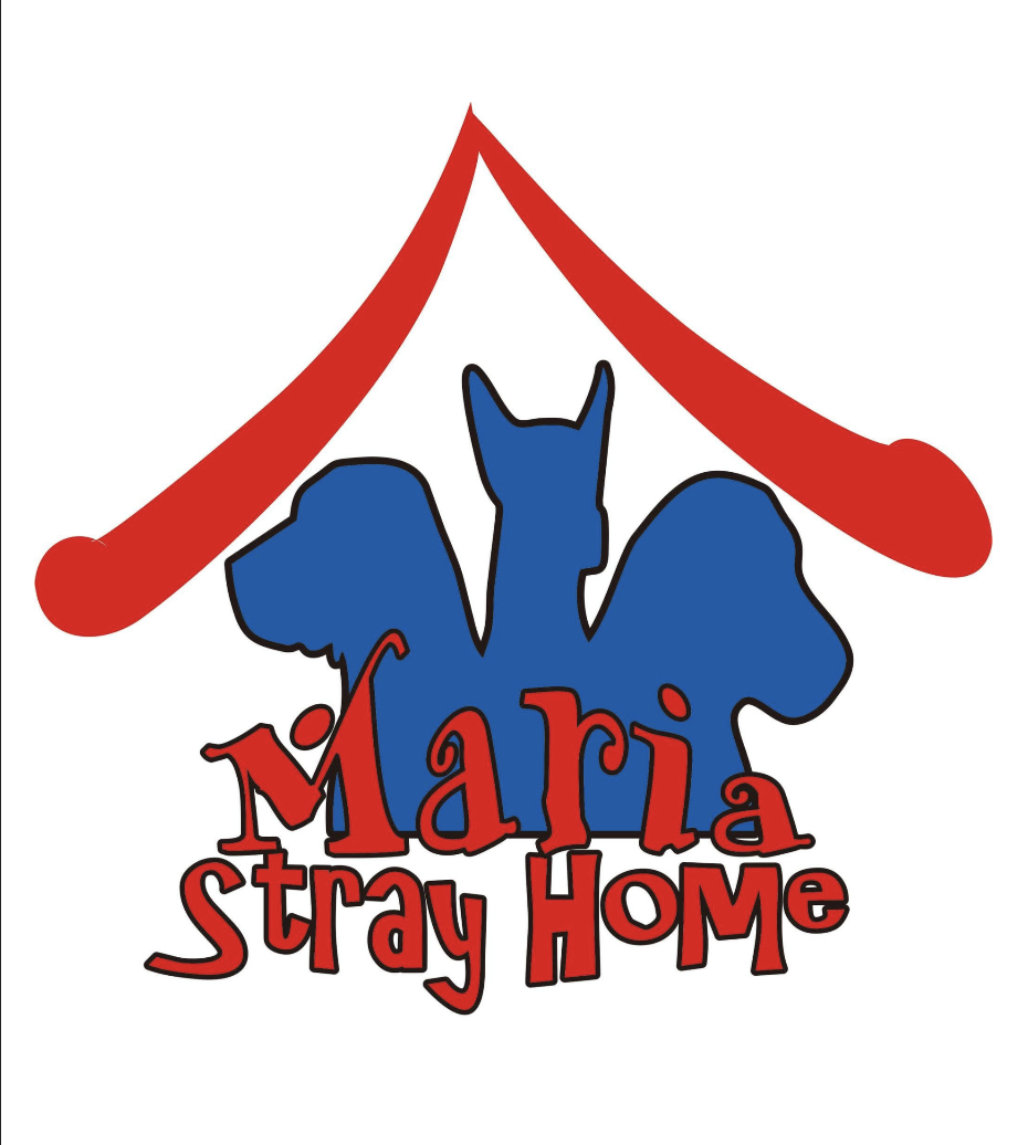 Maria Stray Home