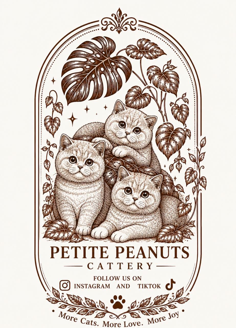 Petite Peanuts Cattery