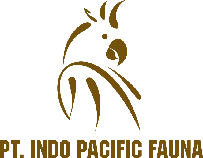 PT Indo Pacific Fauna