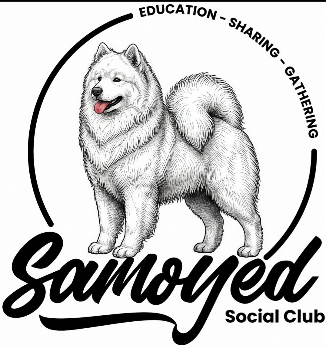 Samoyed Social Club