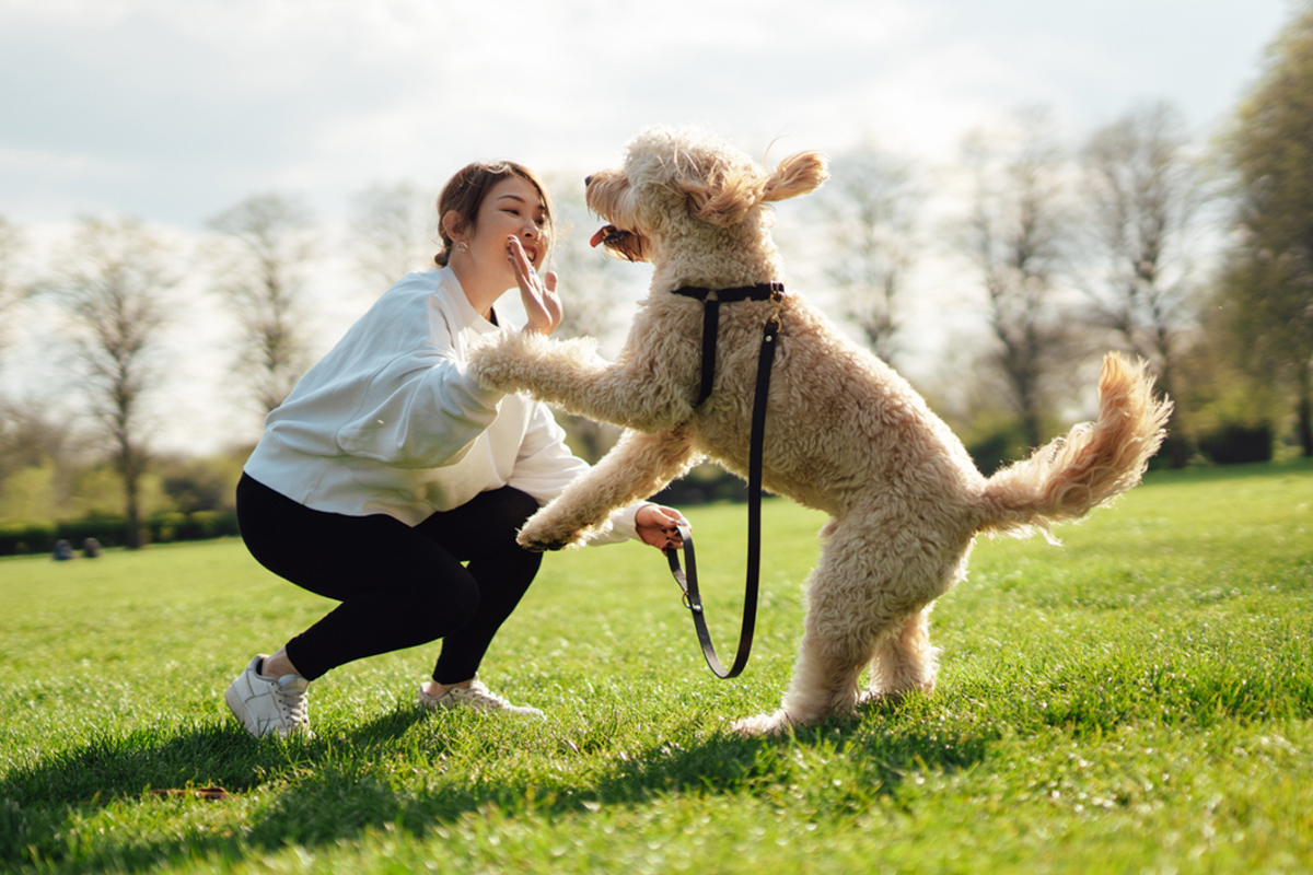 5 Kebiasaan Pemilik Anjing yang Dianggap Aneh Orang Lain