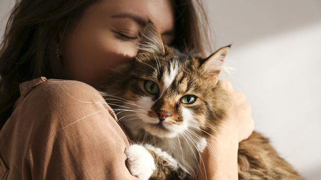 Bukan Dielus, Ini 7 Cara Ungkapkan Rasa Sayang pada Kucing