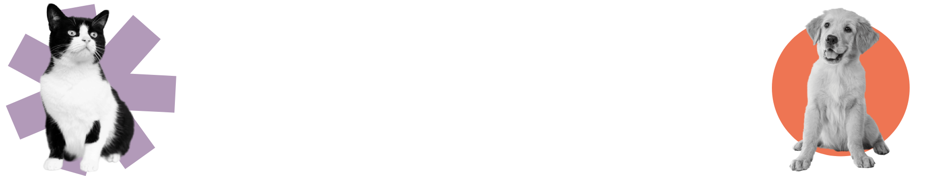 Decorative grass element for JIPS Tail in Motion video section