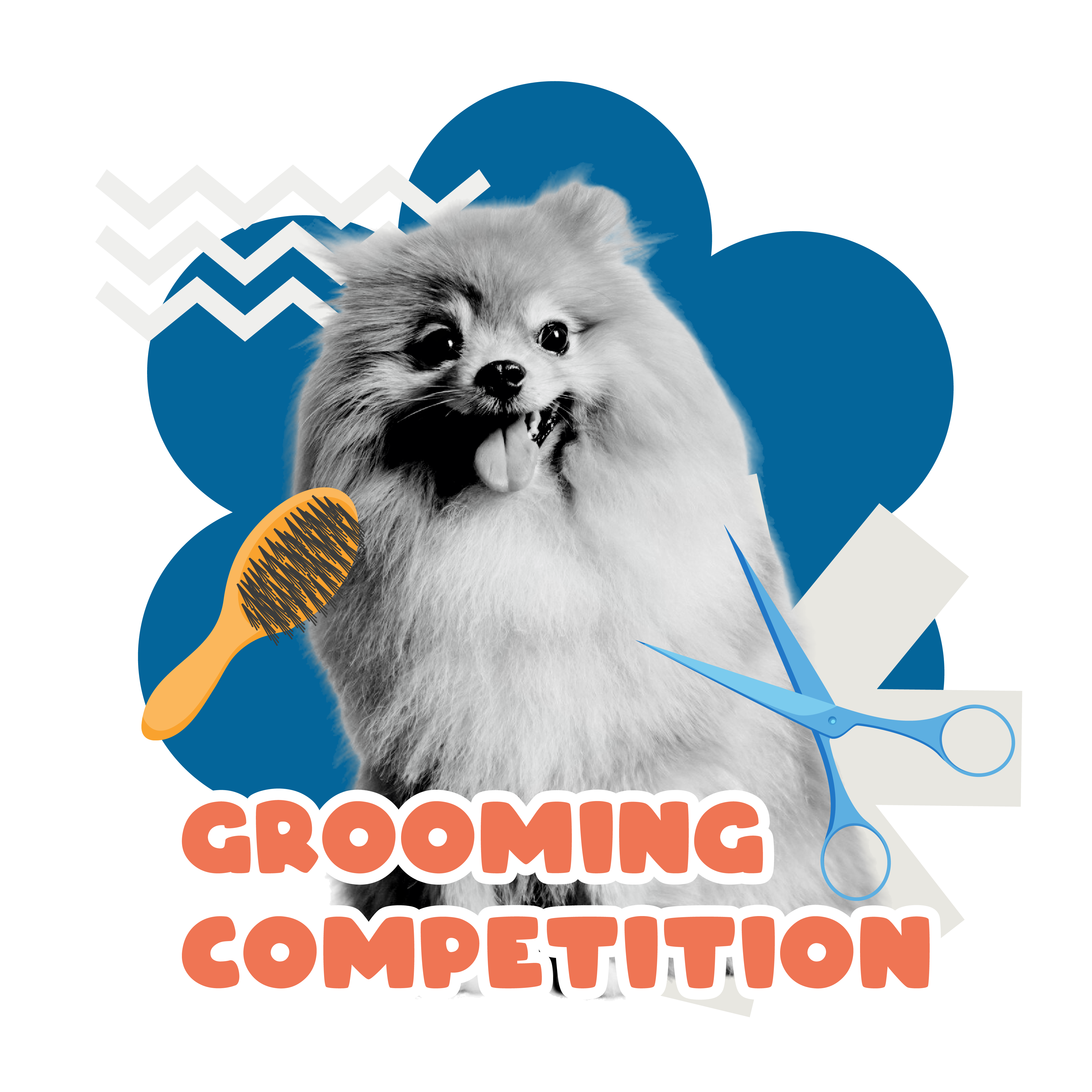 Grooming Competition