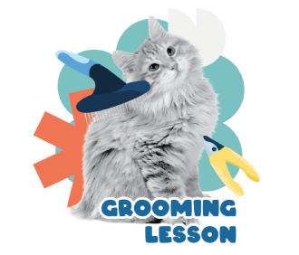 Grooming Lesson
