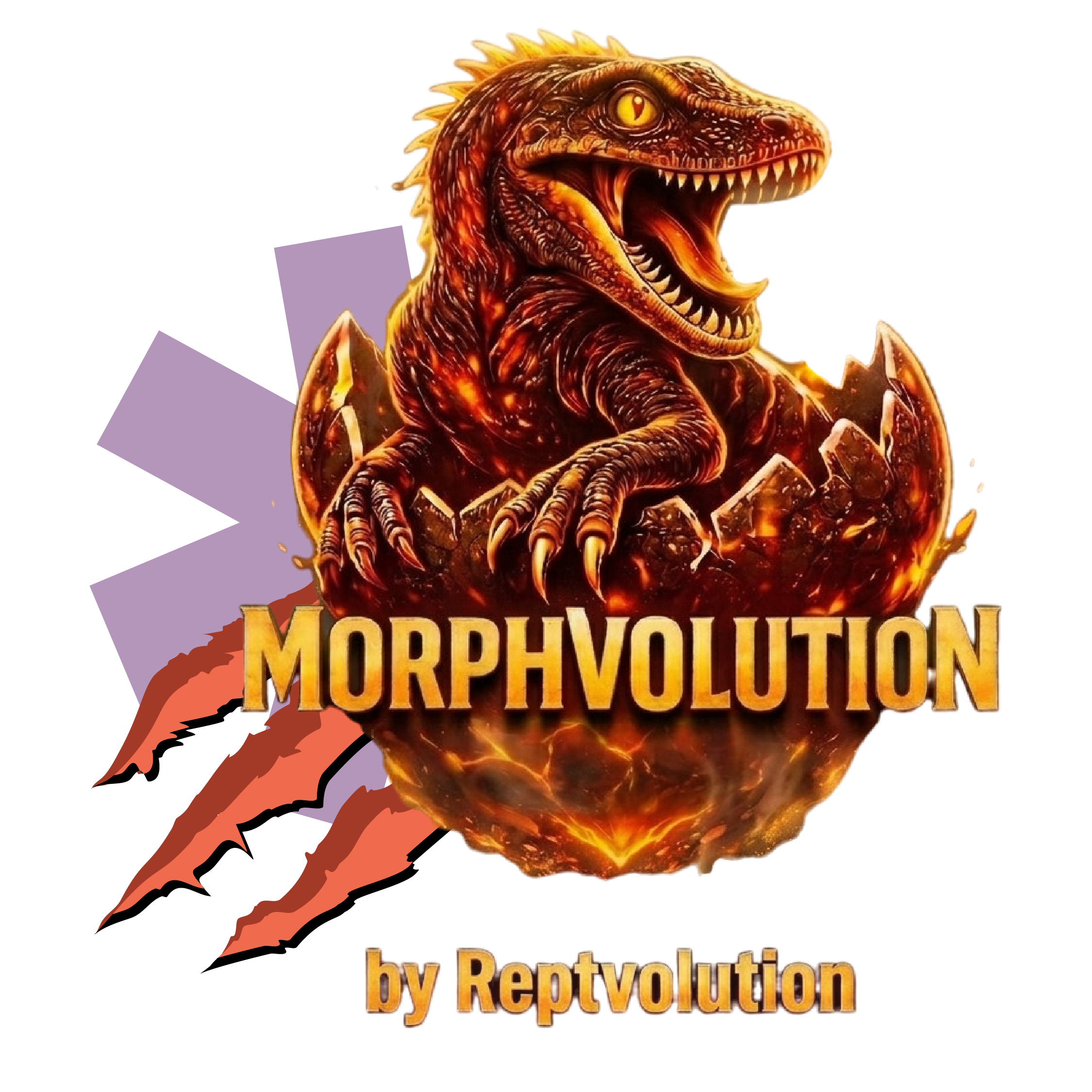 Morph