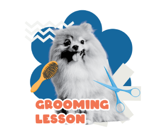 DOG GROOMING