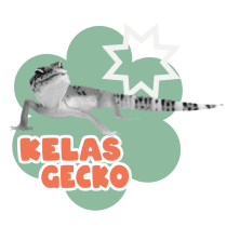 KELAS GECKO