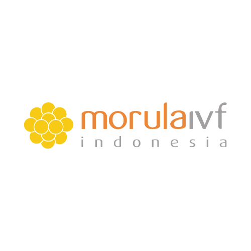Morula