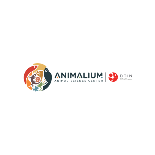 Animalium